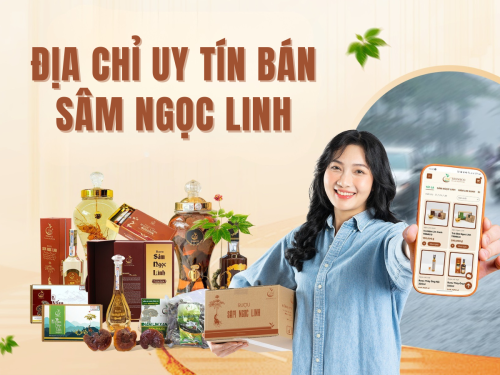 TOP 1 địa chỉ mua sâm Ngọc Linh ở TP.HCM uy tín - giá hợp lý
